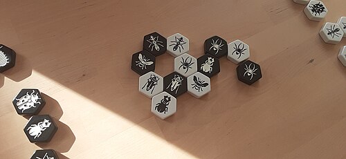 Hive